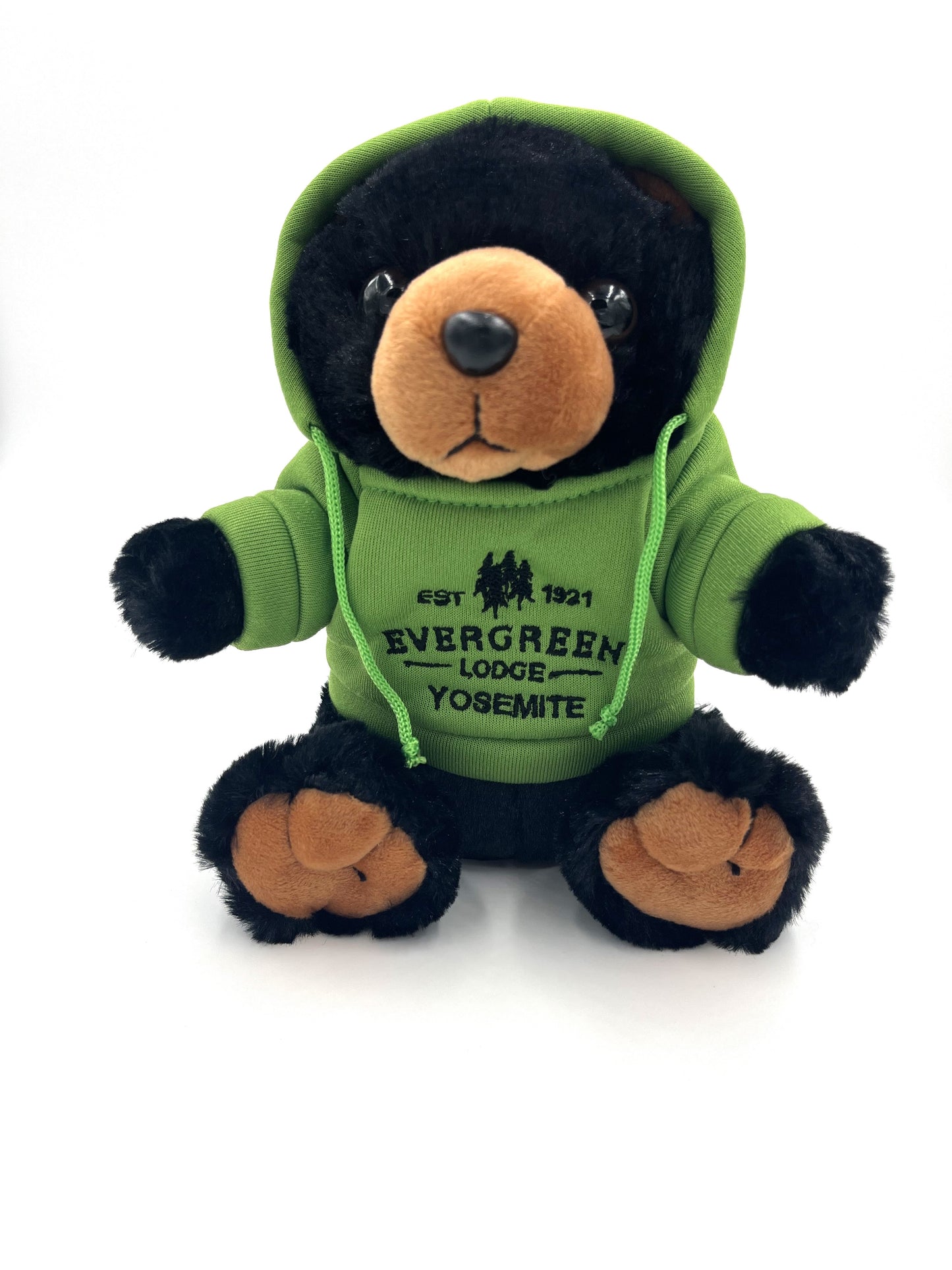 Evergreen Bear